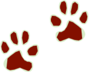 MSP_C24.png