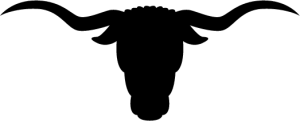MAS_C10.png