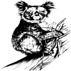 NATU25.png