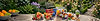 Slider-Banner small.jpg