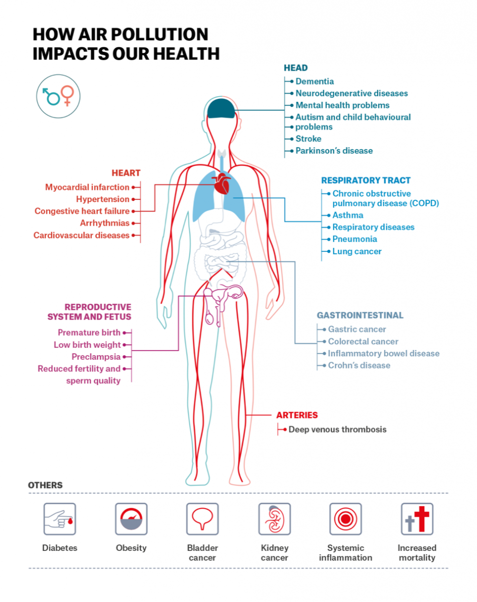 Impact of Air Pollution on our Health