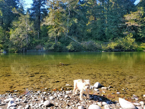 River