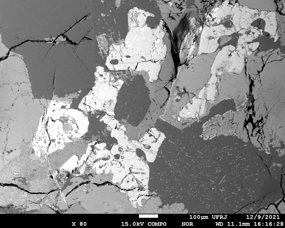 BSE Image by Electron Microprobe