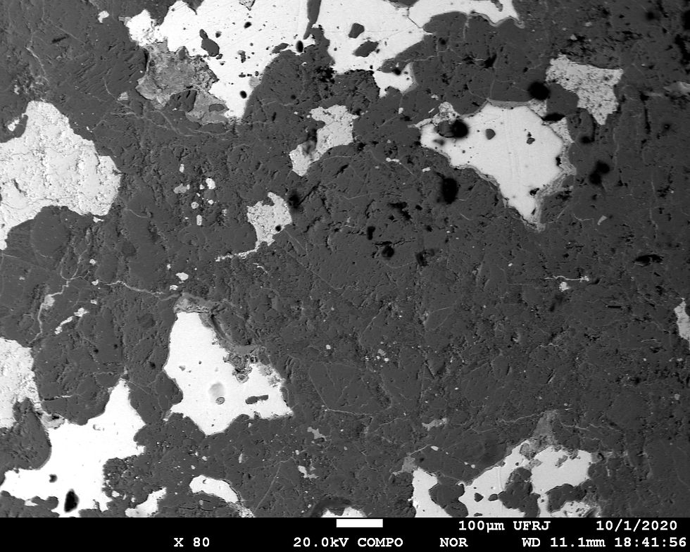 BSE Image by Electron Microprobe