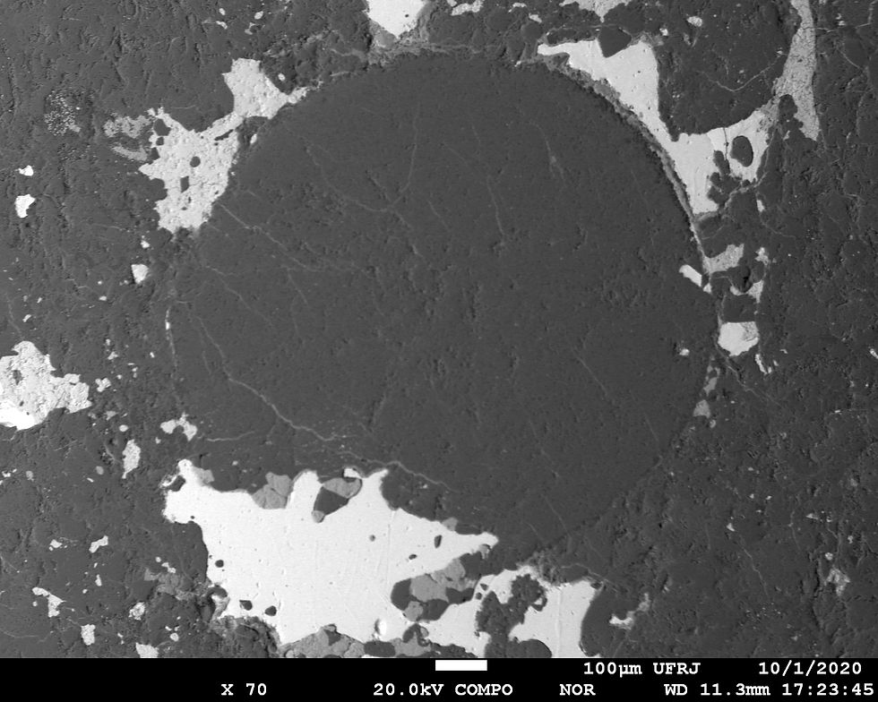 BSE Image by Electron Microprobe