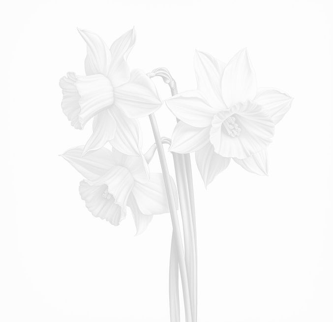 awesomepossum_vintage_botanical_illustra