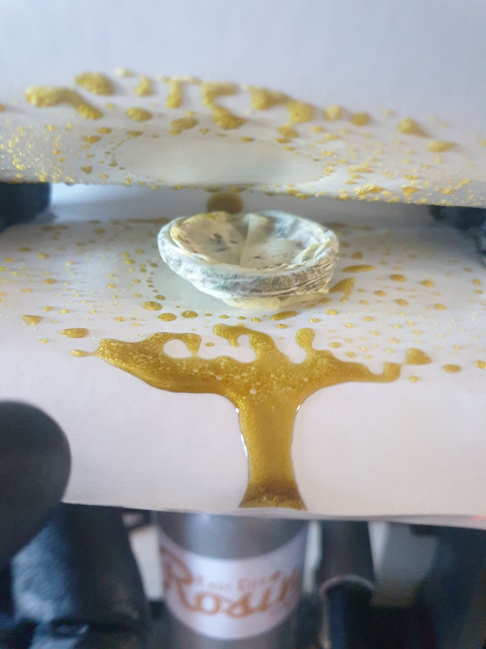 Thumbnail: East City Rosin Heavy Pressing Sheets (Pre-cut)