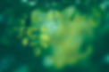 iStock-844226626.jpg