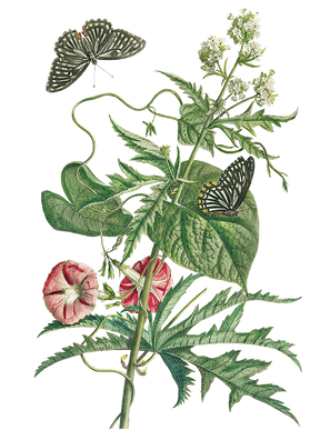 Flower T-Shirt Design-P(10).png