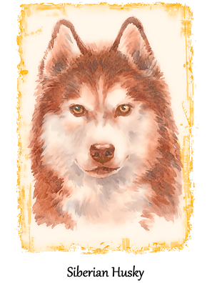 Dog T-Shirt Design (11).png