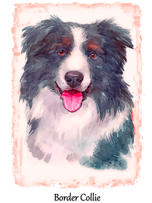 Dog T-Shirt Design (2).png