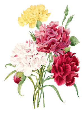 Flower T-Shirt Design-P(19).png