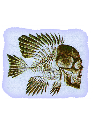 Grey Skull T-Shirt Design (77).png