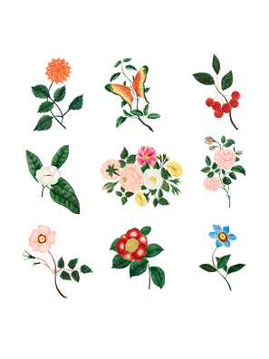 Flower T-Shirt Design (26).png