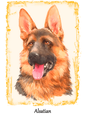 Dog T-Shirt Design (30).png