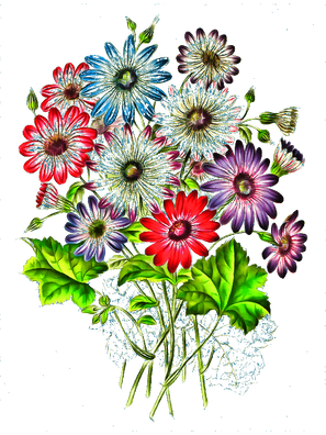 T-Shirt Designs Flowers (3).png