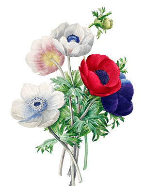 Flower T-Shirt Design-P(15).png
