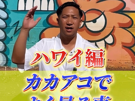 ハワイの観光地はこんな感じ!