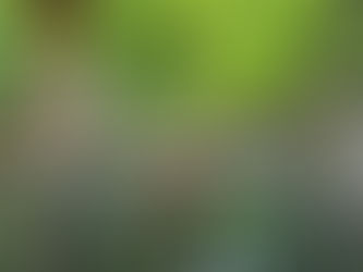 【東京江東区】温泉とタトゥー問題｜ルールとマナーの考え方