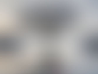 December 2023 Nurturing Growth : Wood Rat Predictions