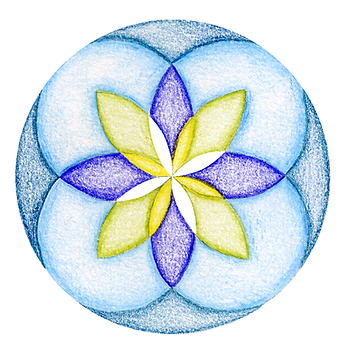 Life Coaching BlickwechselCoaching mit Kinesiologie Hochsesnsibilität Burnout Selbstfindung durch Lebenskrise bewältigen