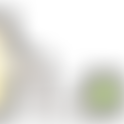 祝福されたかたち