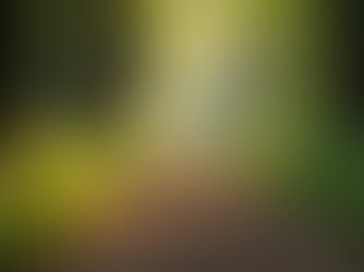 Exploring Recovery Tools for Sustainable Change