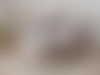 CRAFTCITY Accent Chair with Ottoman Set, Upholstered Round Back Living Room Chair with Footrest Comfy Sofa Chair with Golden Metal Legs Elegant Barrel Chair for Reading Room, (Grey)