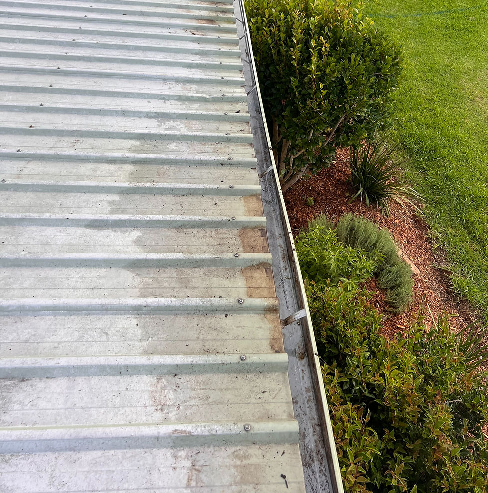 Gutter Cleaned
