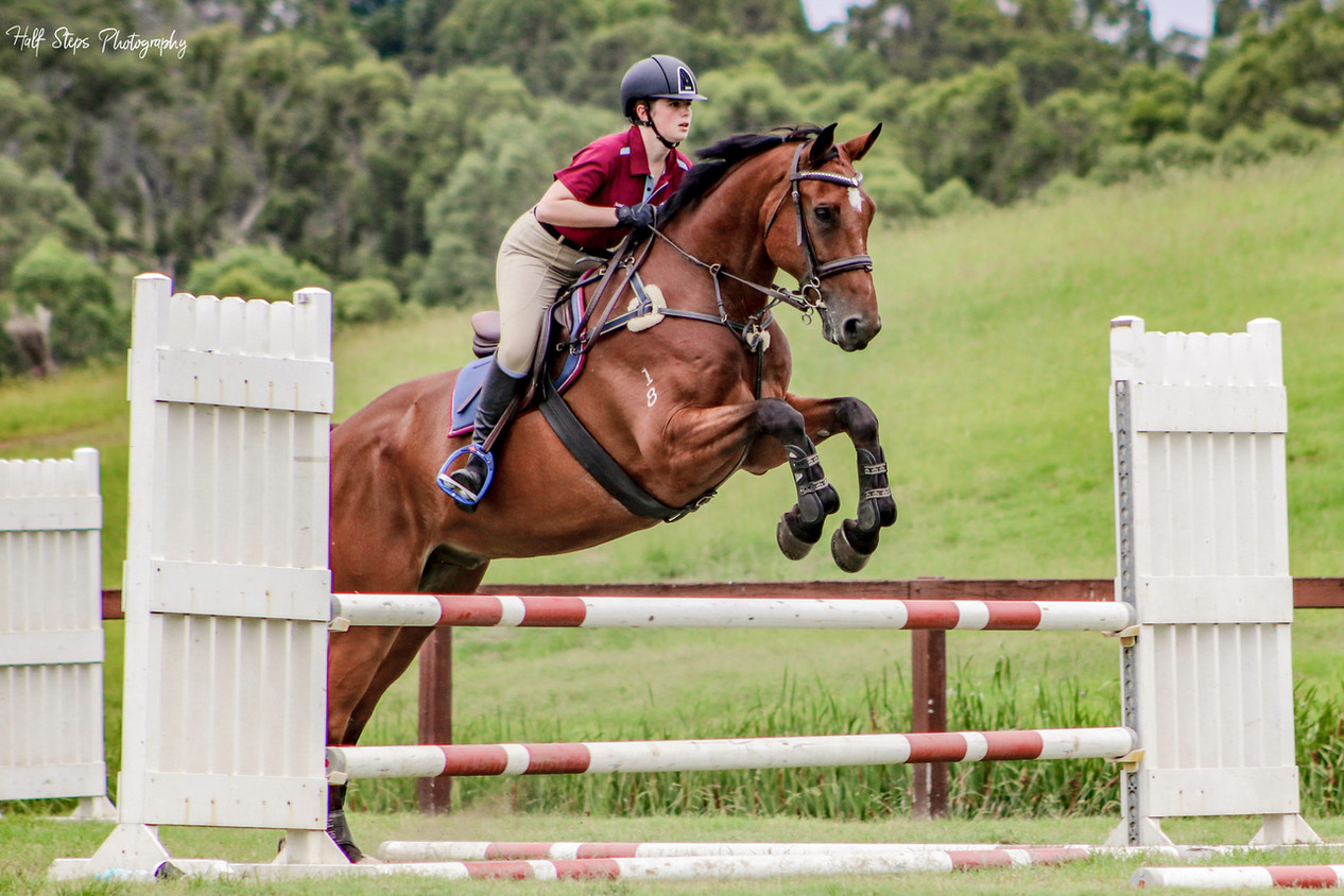 Half Steps Photography Sydney Equine Photographer
