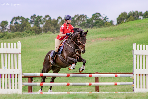 Half Steps Photography Sydney Equine Photographer