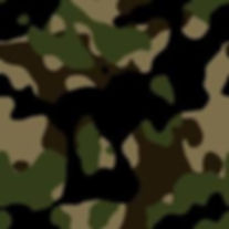 army background.jpeg