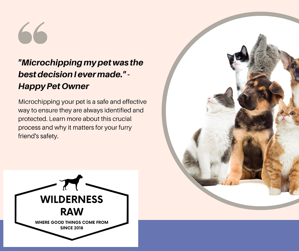 Microchip your pet to help bring them home.