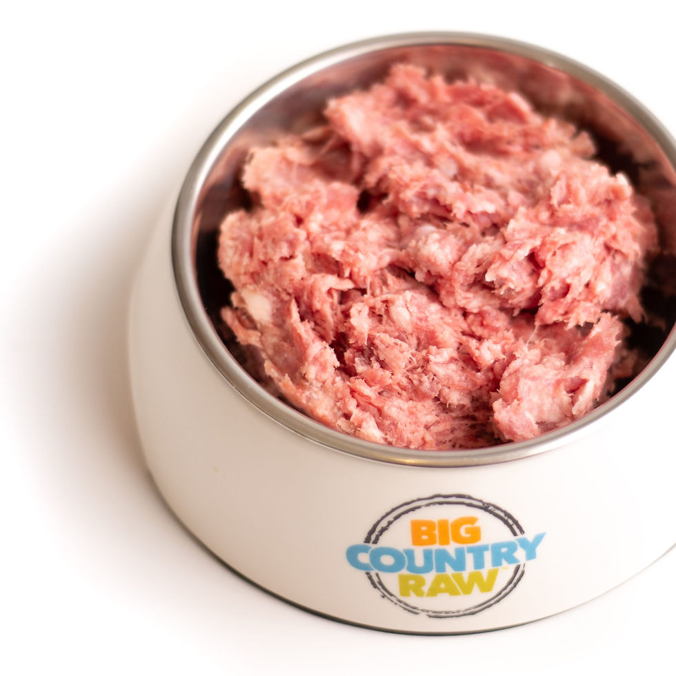 Big Country Raw - Pure Formula - Pure Pork - 4LB