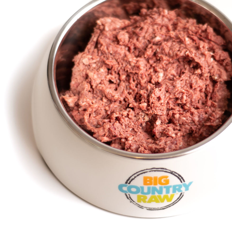 Big Country Raw - Pure Formula - Pure Lamb - 4LB