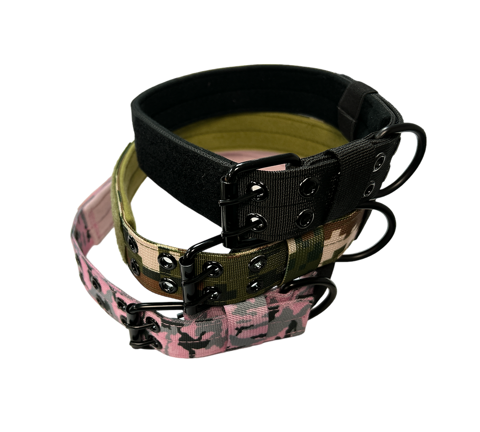 Three dog collars: black, camo, pink