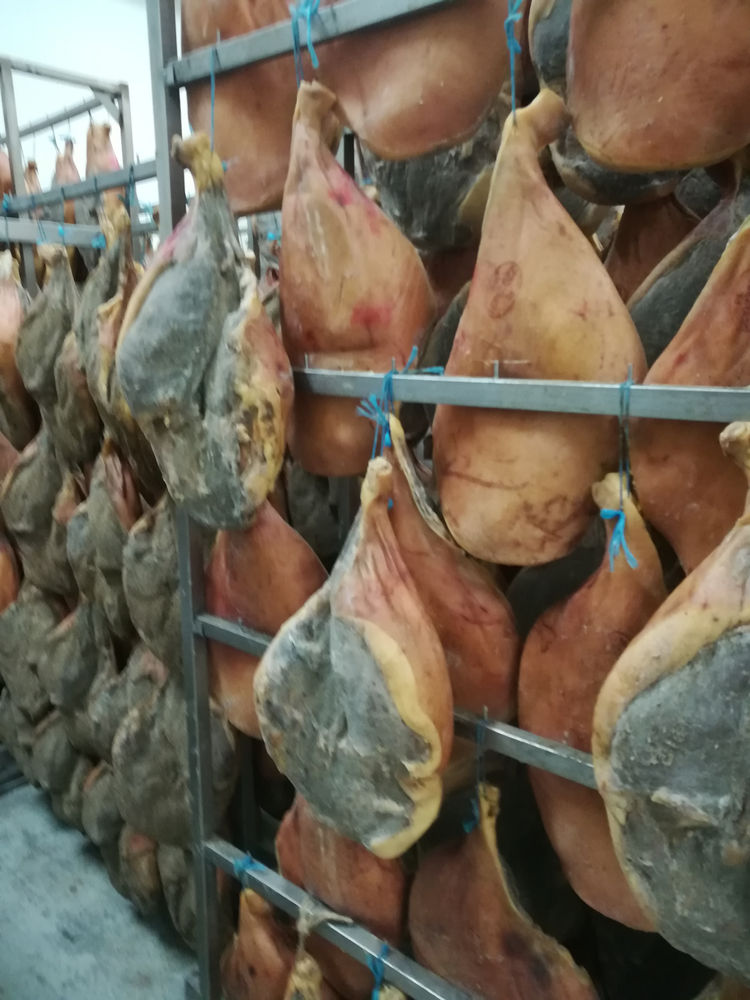 Crudo Modena All You Can Eat