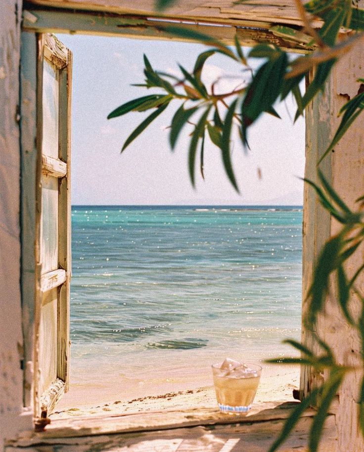 Thumbnail: YELLOW SHELL