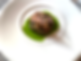 Fossheim-Tartar.png