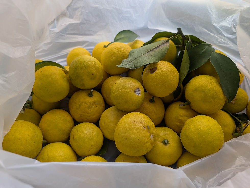 ゆずスペシャル