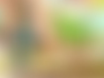 Digging Into Carrots: A Root Vegetable Story