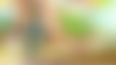 Digging Into Carrots: A Root Vegetable Story