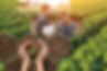 AdobeStock_339700111.jpeg
