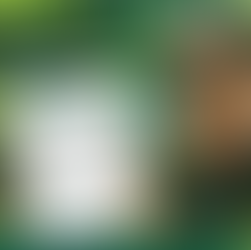 Seedy Scavenger Hunt