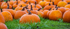 AdobeStock_100060558.jpeg