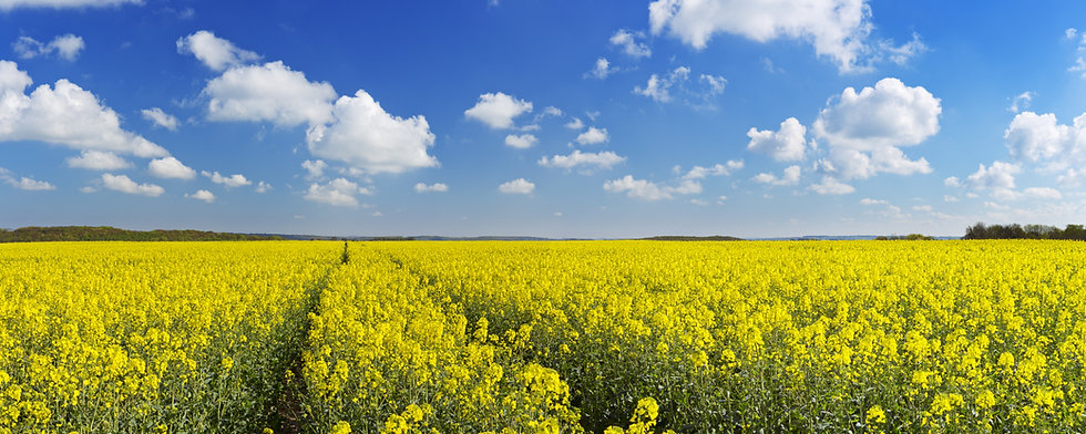 AdobeStock_305944600.jpeg