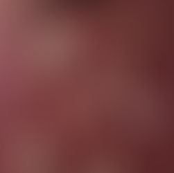 Recycled Paper Folded Fish