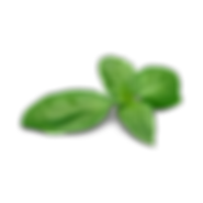 Untitled design (29).png
