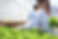 AdobeStock_320734025.jpeg