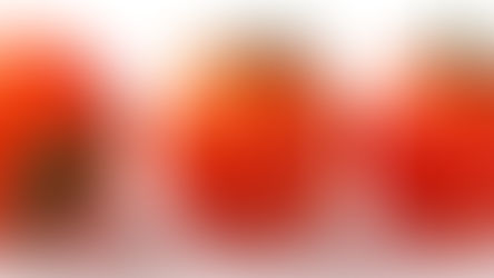 🍅 10 Fun Facts About Tomatoes